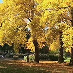Appartamento Allee Baden-Baden