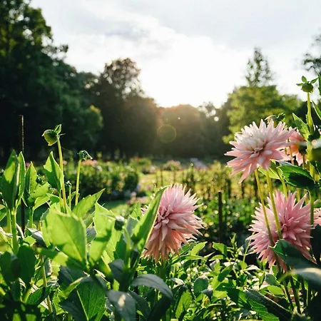 Appartamento Allee Baden-Baden