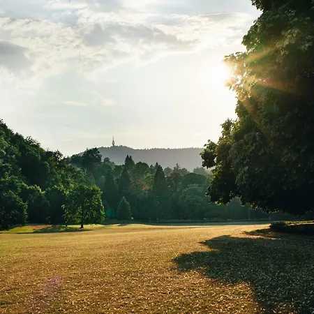 Allee Apartment Baden-Baden