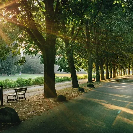 Allee * Baden-Baden