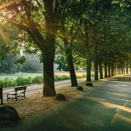 Allee * バーデン＝バーデン