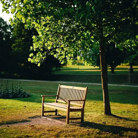 Allee Baden-Baden