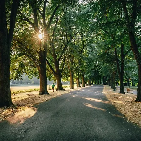 Allee *