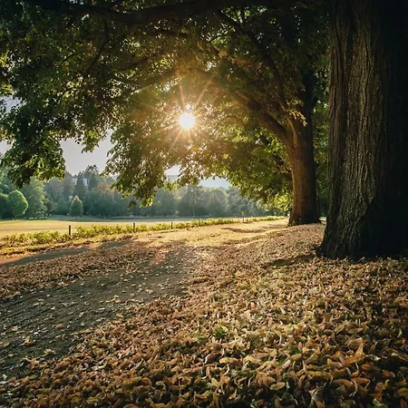 Daire Allee Baden-Baden