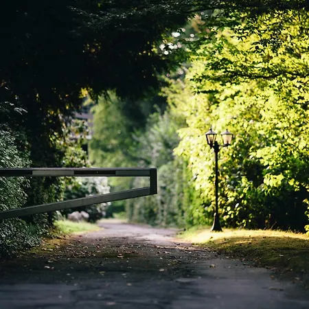 Allee