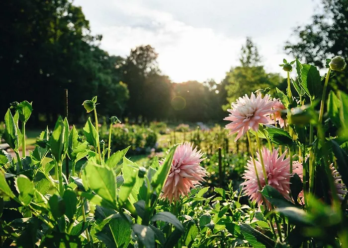 Apartmán Allee Baden-Baden